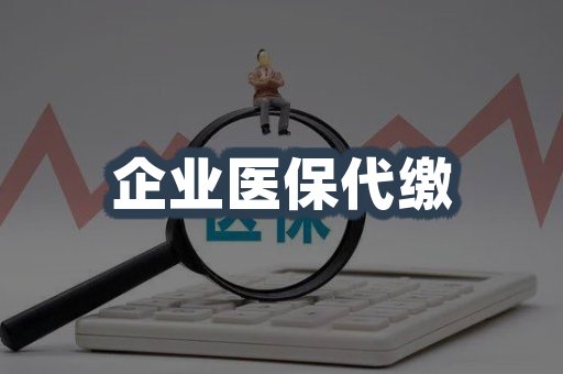 企业医保代缴