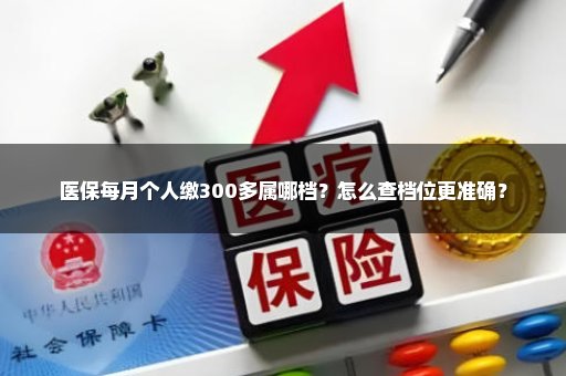 医保每月个人缴300多属哪档？怎么查档位更准确？
